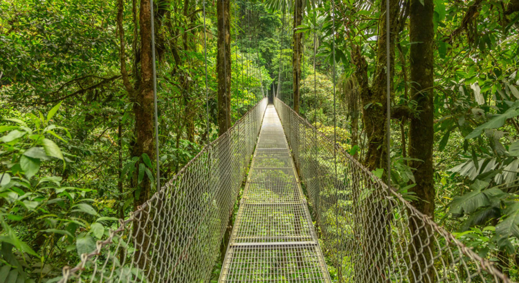 Costa Rica Hängebrücke